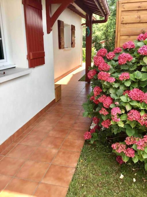 1Km Plage, Agreable Maison 6 Pers Classee 3* 앙다이 외부 사진